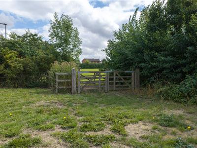 Picture 28
